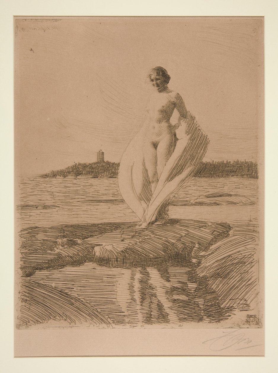 O Cisne de Anders Leonard Zorn