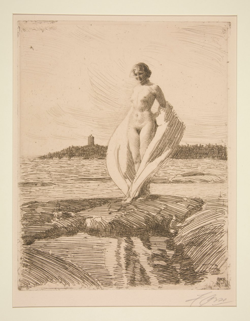 O cisne de Anders Leonard Zorn