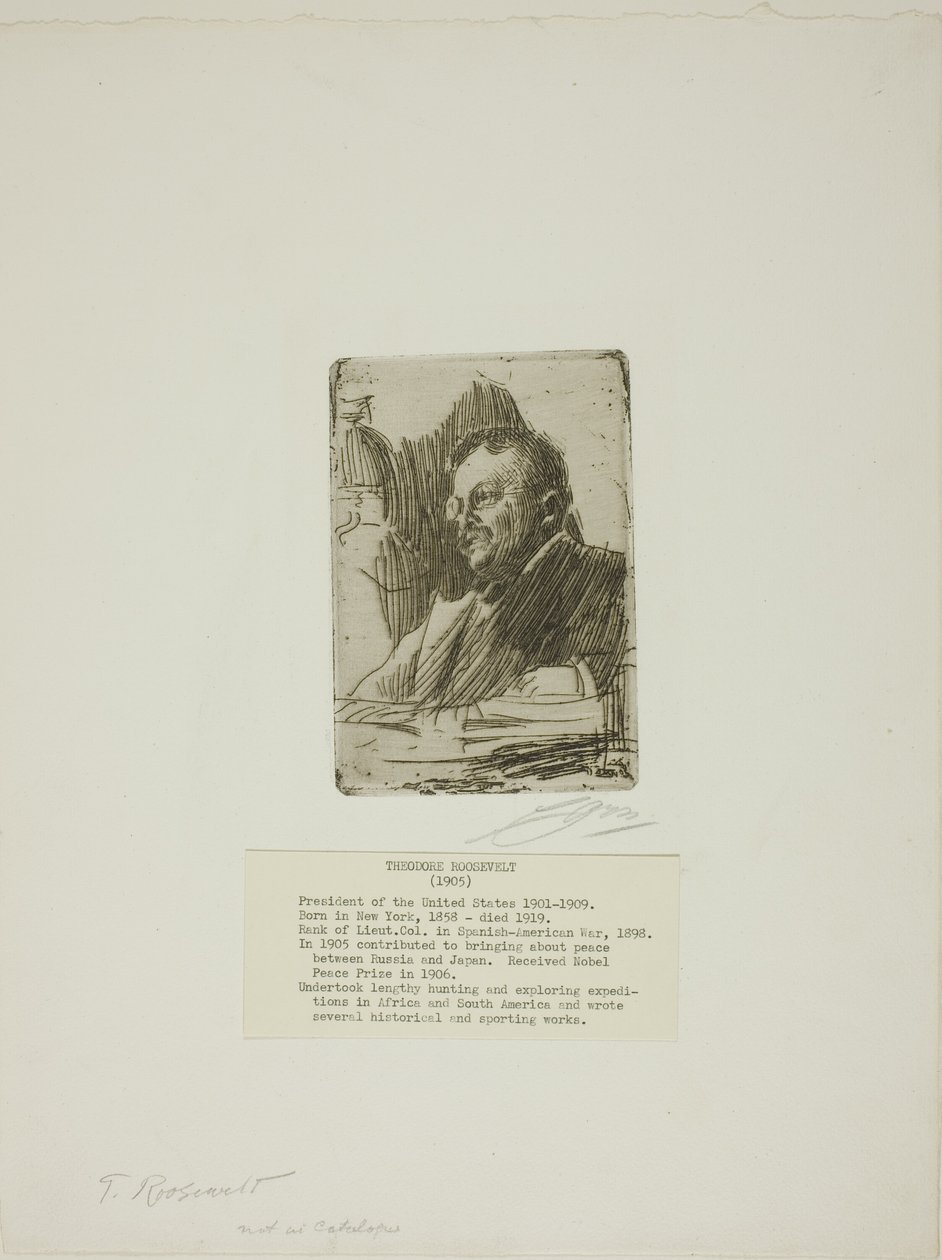 Theodore Roosevelt de Anders Leonard Zorn