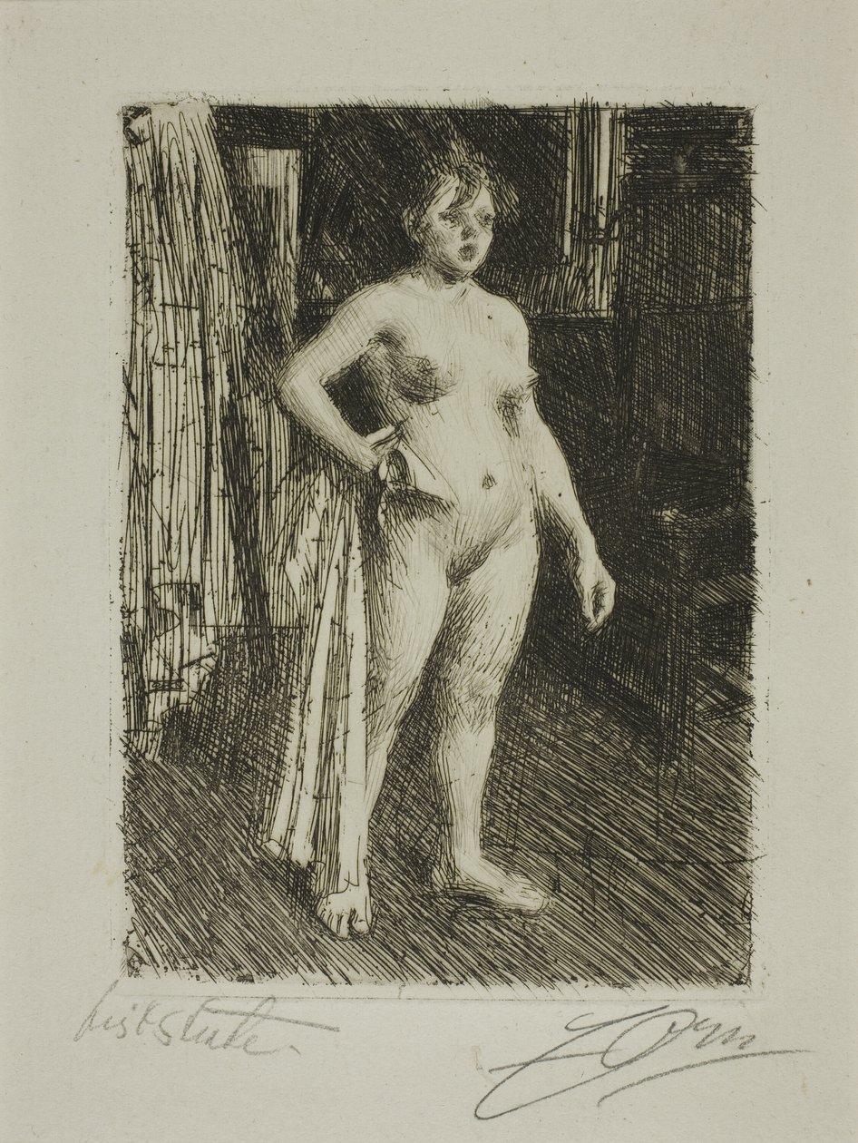 Vênus de La Villette de Anders Leonard Zorn