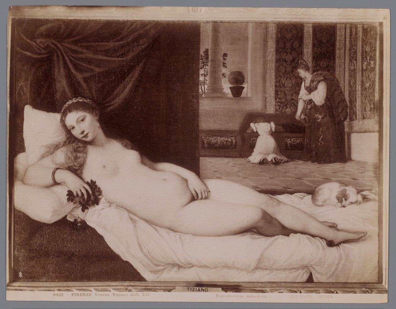 Fotoreprodução da pintura da Vénus de Urbino por Ticiano
Firenze, Venere (Tiziano Gall. Uff.) (título sobre o objecto) de Anderson (firma)