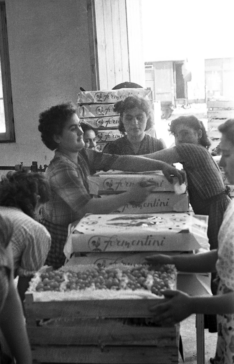 UVAS AMARGAS - EMBALAGENS DE MARCA de Ando Gilardi