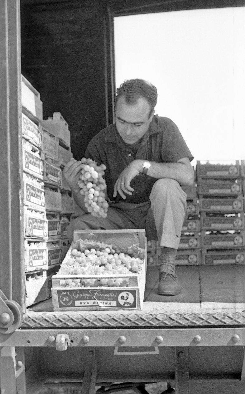 UVAS AMARGAS - PRONTAS PARA ENTREGA de Ando Gilardi