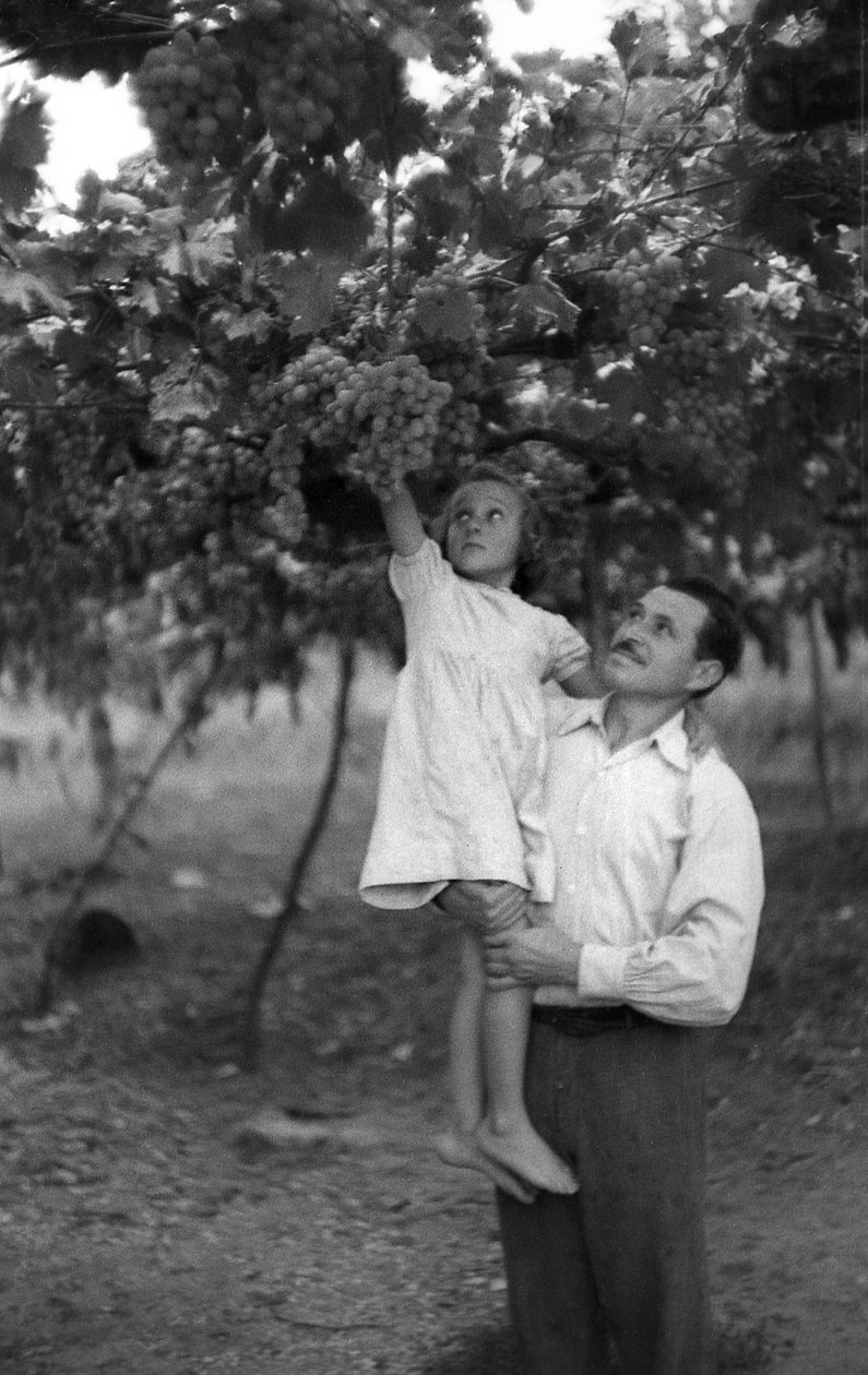 UVAS AMARGAS - A ALTURA DA PÉRGOLA de Ando Gilardi