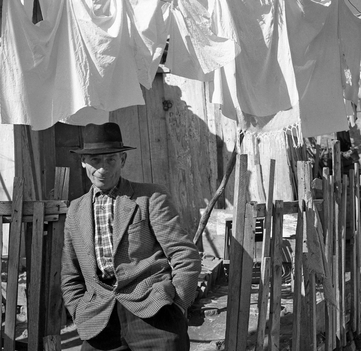 CROTONE - RETRATO DE HOMEM de Ando Gilardi