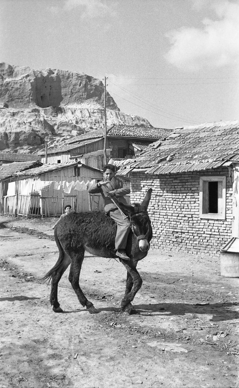 CROTONE - JOVEM CONDUTOR DE MULAS de Ando Gilardi