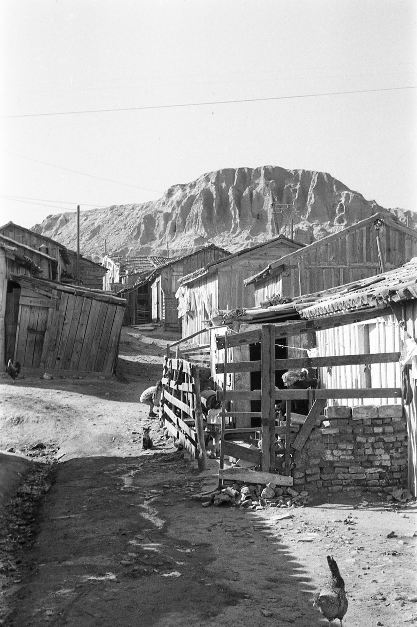 ALDEIA DE MONTECATINI, Crotone de Ando Gilardi