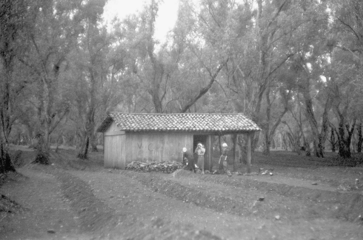 ABRIGO NO OLIVAL de Ando Gilardi