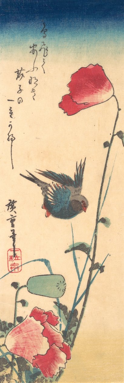 Um pássaro azul e papoulas, 1832-34., 1832-34. de Ando Hiroshige