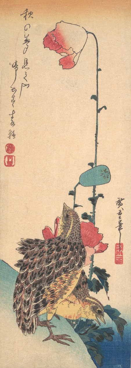 Um par de codornizes e papoilas, ca. 1835., c. 1835. de Ando Hiroshige