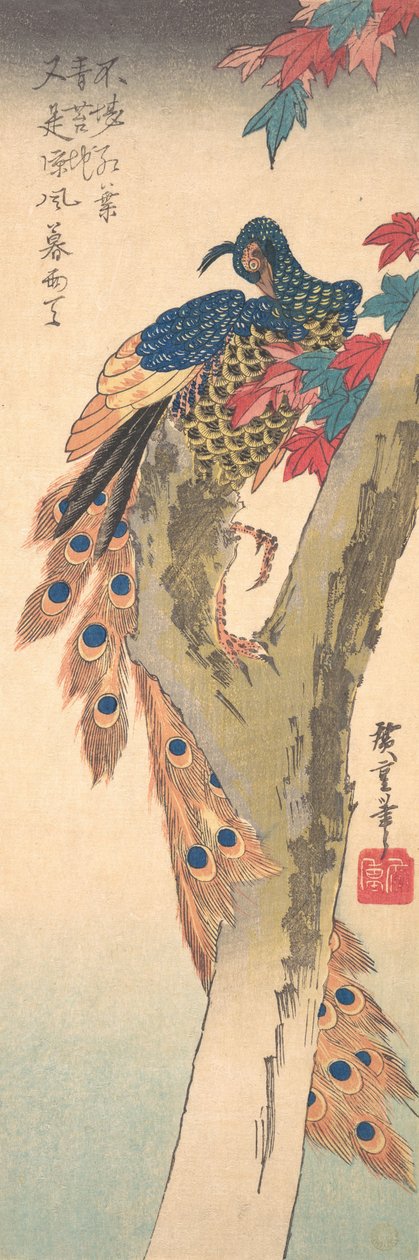 Um pavão empoleirado em uma árvore de bordo, ca. 1833., c. 1833. de Ando Hiroshige