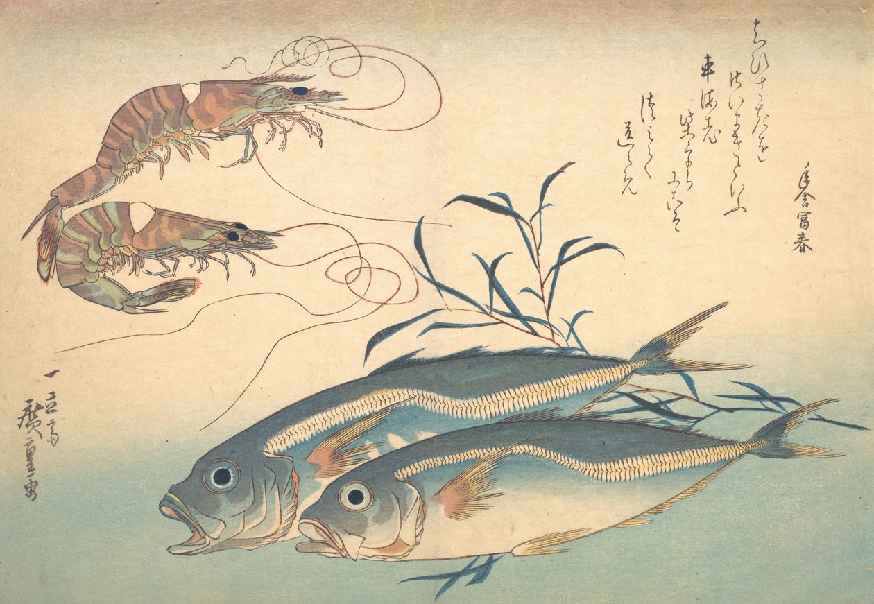 Aji Fish e Kuruma-ebi, da série Uozukushi Every Variety of Fish, década de 1830., década de 1830. de Ando Hiroshige
