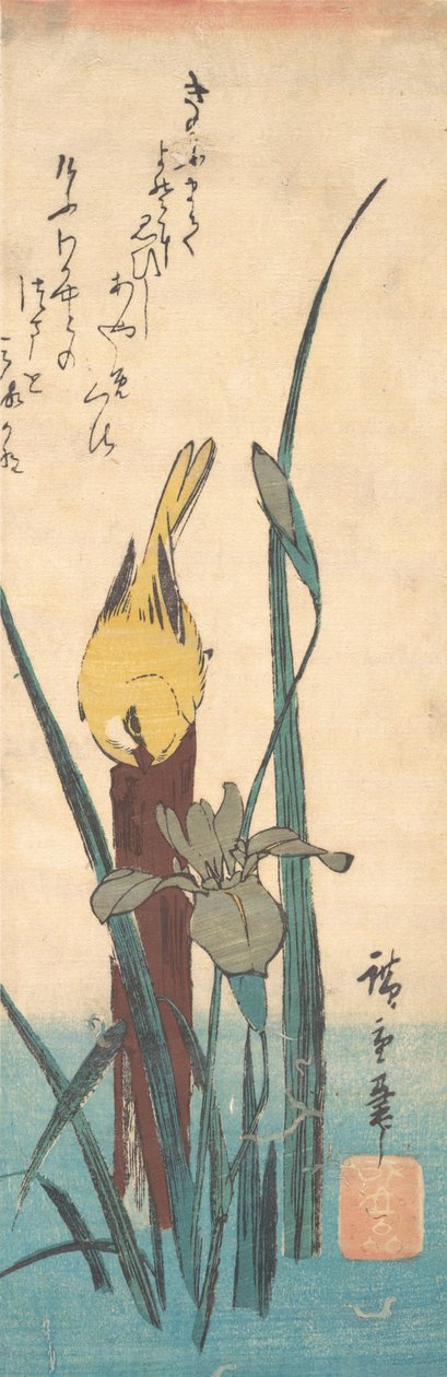 Pássaro e Íris. de Ando Hiroshige