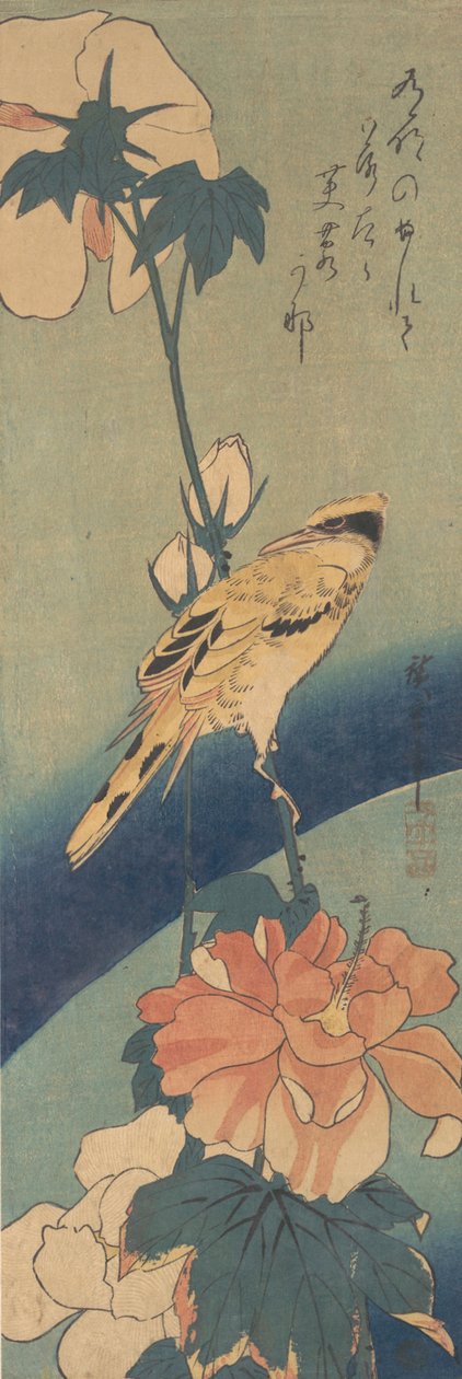 Oriole de nuca preta empoleirado em uma haste de rosa malva, ca. 1834., c. 1834. de Ando Hiroshige