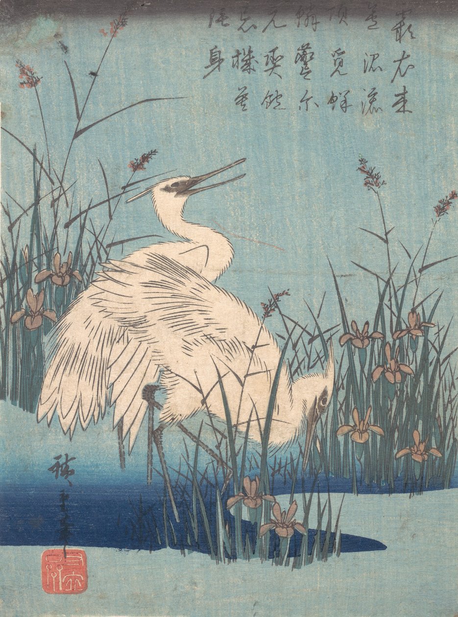 Garça em Iris e Grasses, ca. 1837., c. 1837. de Ando Hiroshige