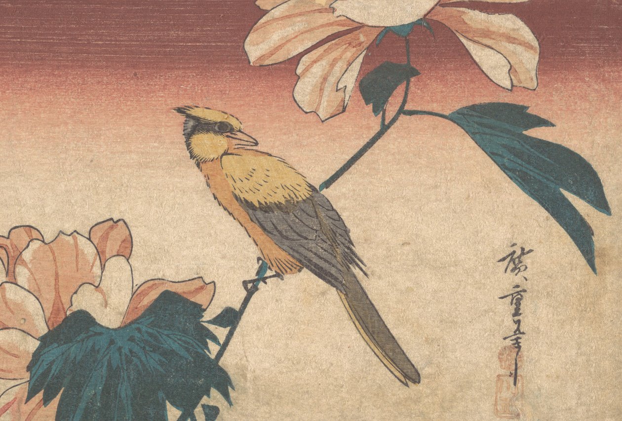 Hibiscus Mutabilis e Jay, ca. 1840., c. 1840. de Ando Hiroshige