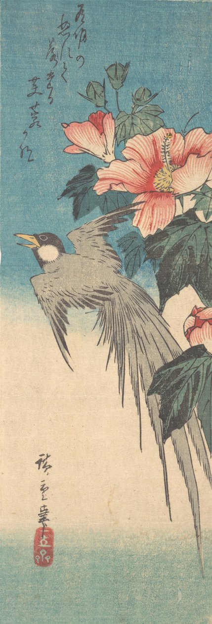 Hibiscus Mutabilis e Ave de Cauda Longa, ca. 1842., c. 1842. de Ando Hiroshige