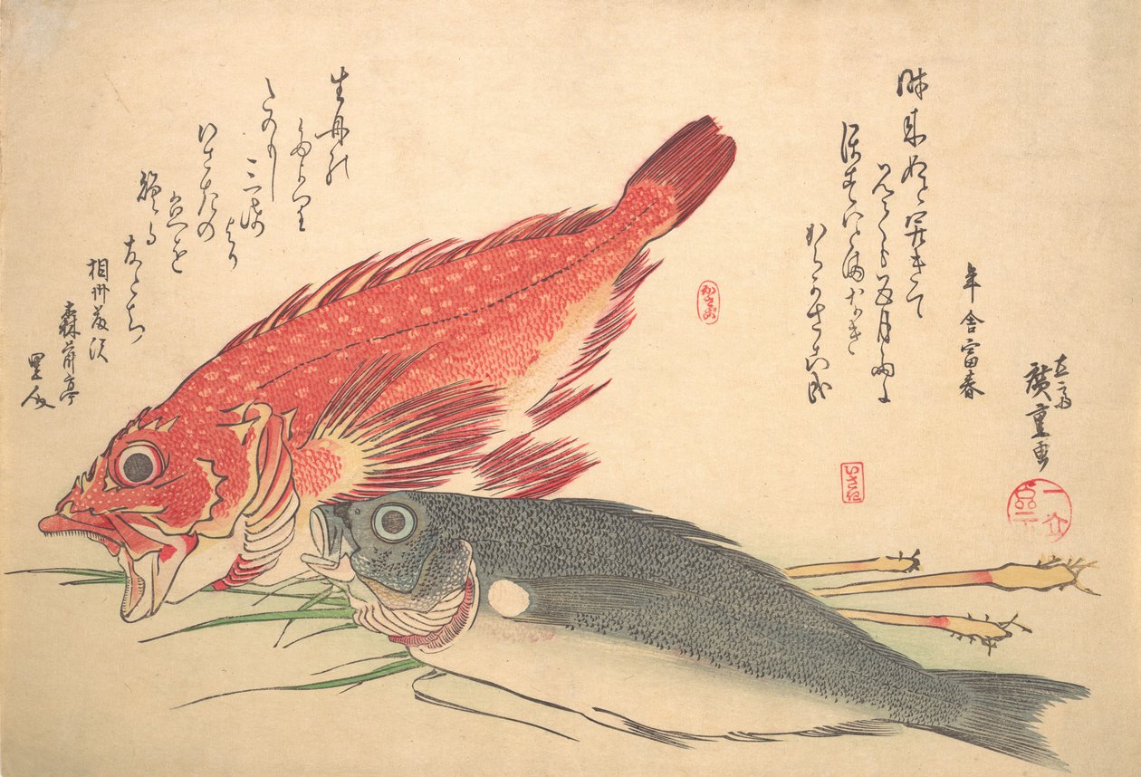 Isaki e Kasago Fish, da série Uozukushi Every Variety of Fish, década de 1830., década de 1830. de Ando Hiroshige