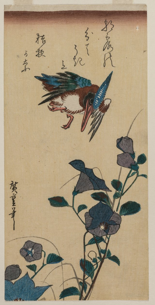 Martinho pescatore e Bellflowers chineses, início ou meados da década de 1830. de Ando Hiroshige