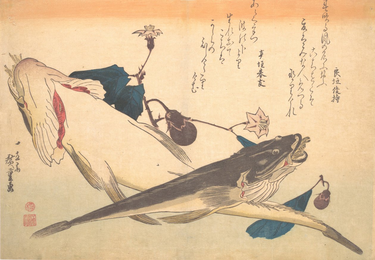 Peixe Kochi com Berinjela, da série Uozukushi Cada Variedade de Peixe, década de 1830., década de 1830. de Ando Hiroshige