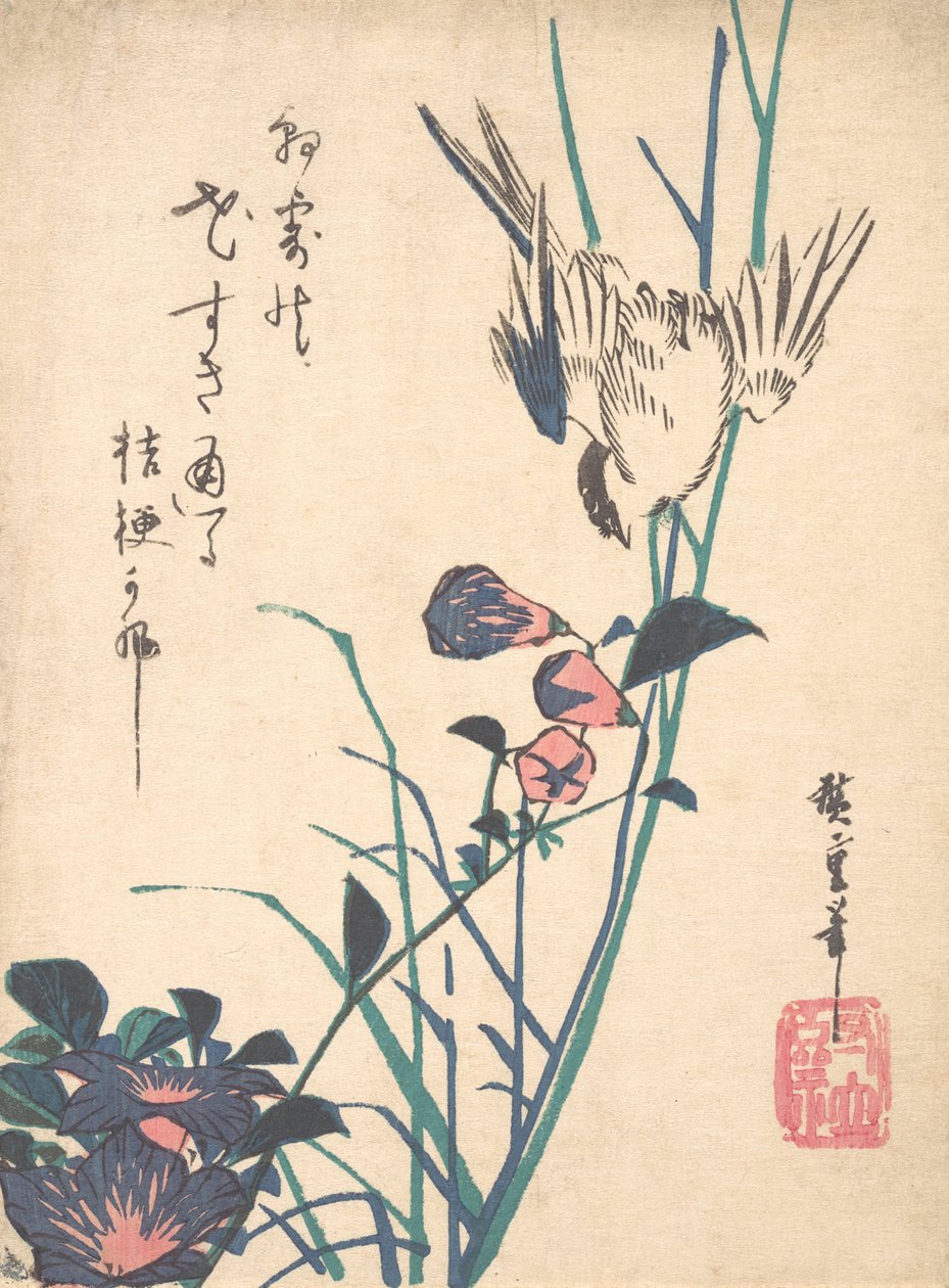 Bico chato e pardal de flores grandes, ca. 1833., c. 1833. de Ando Hiroshige