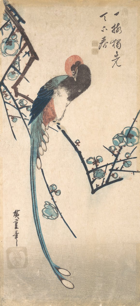 Pássaro de cauda longa. de Ando Hiroshige