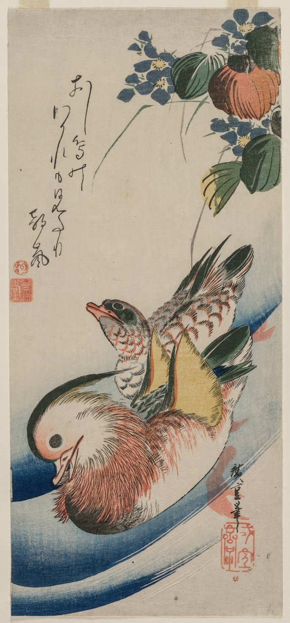 Patos mandarim e plantas com flores, início ou meados da década de 1830. de Ando Hiroshige