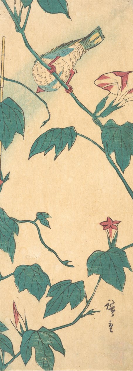 Morning Glories and Bird, 1840-50., 1840-50. de Ando Hiroshige