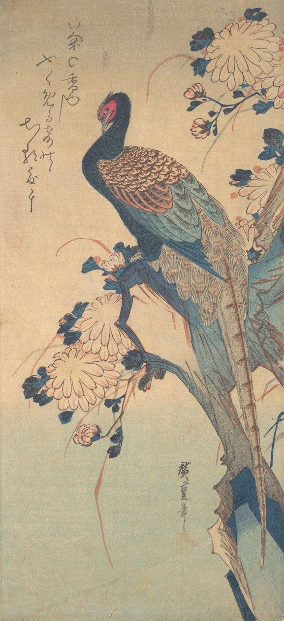 Faisão com Crisântemos, ca. 1835., c. 1835. de Ando Hiroshige