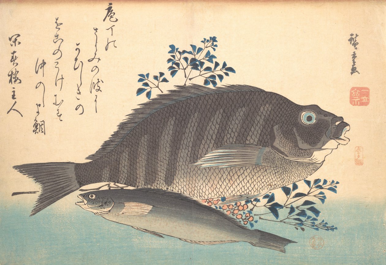 Shimadai e Ainame Fish, da série Uozukushi Every Variety of Fish, década de 1840., década de 1840. de Ando Hiroshige