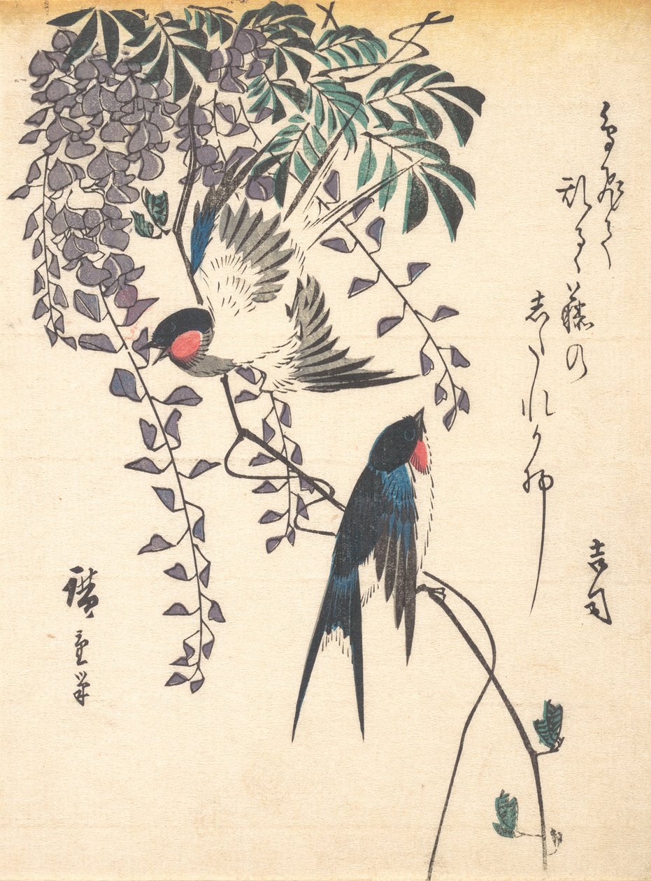 Andorinha e Glicínia, meados da década de 1840., meados da década de 1840. de Ando Hiroshige