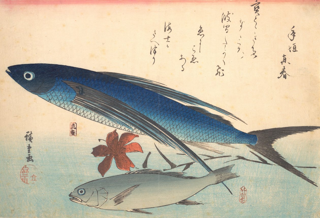 Tobiuo e Ishimochi Fish, da série Uozukushi Every Variety of Fish, década de 1840., década de 1840. de Ando Hiroshige