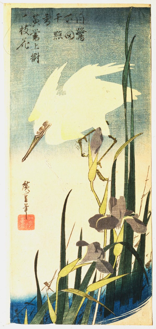 Garça-real e íris brancas, 1833 de Ando Hiroshige