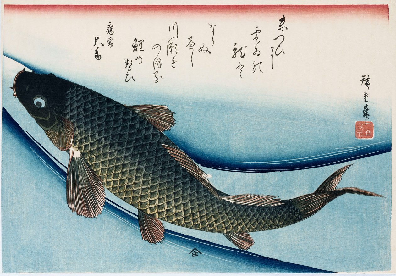 "Carp", da série "Coleção de peixes" de Ando or Utagawa Hiroshige