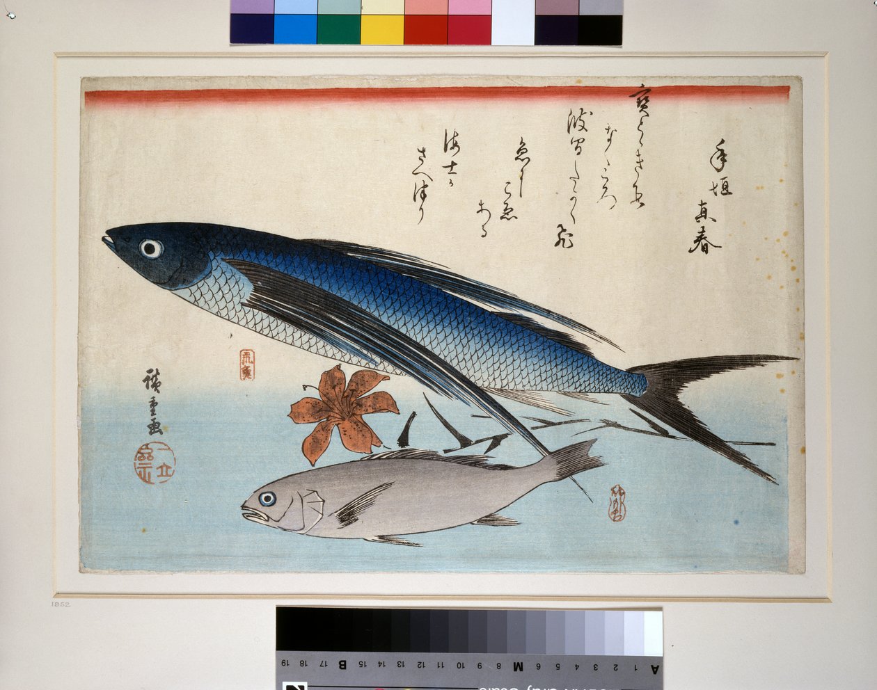 Peixe voador, peixe ishimochi e lírio de Ando or Utagawa Hiroshige