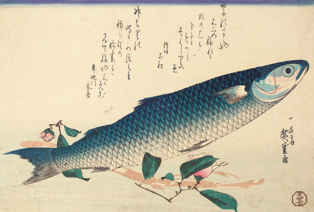 Tainha, Camélia e Udo de Ando or Utagawa Hiroshige