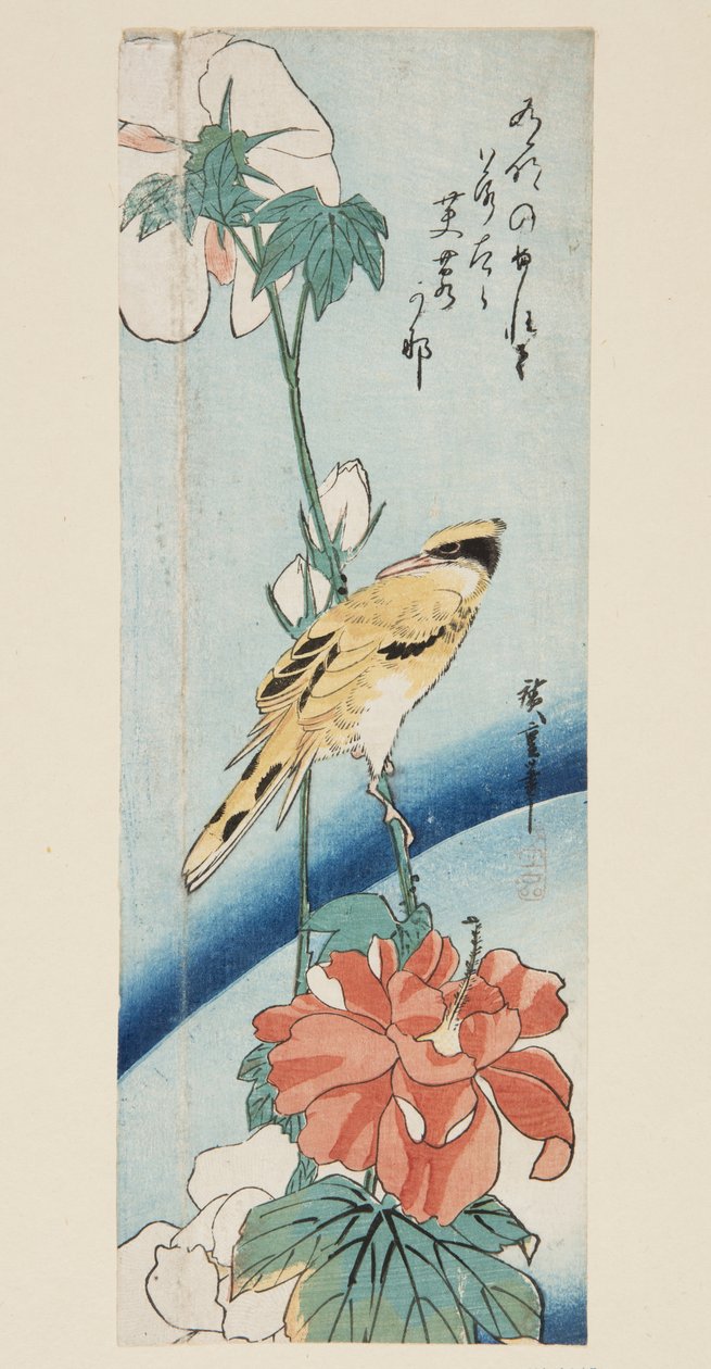 Hibisco e Oriole de forma preta (impressão em bloco de madeira a cores) de Ando or Utagawa Hiroshige