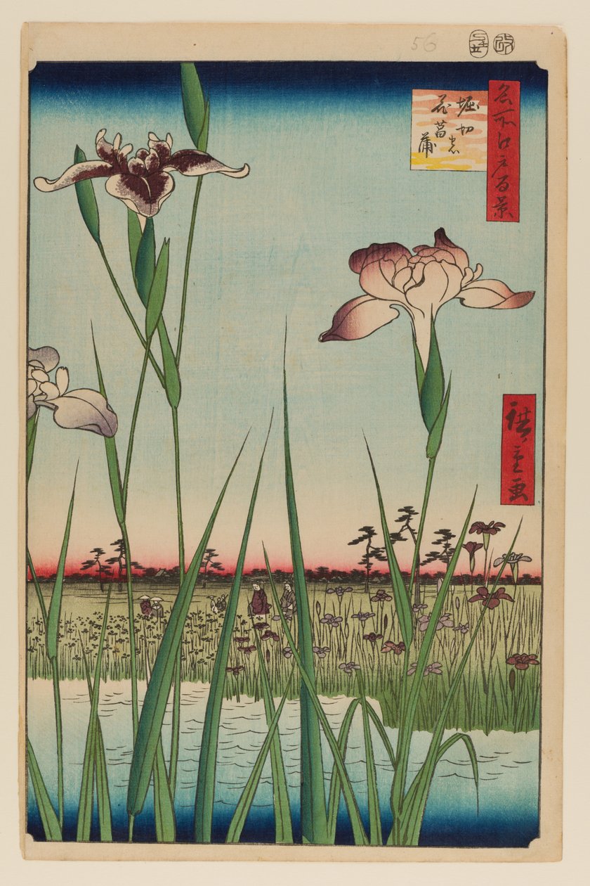 Jardim de Íris de Horikiri (Horikiri no Hanashobu) de Ando or Utagawa Hiroshige