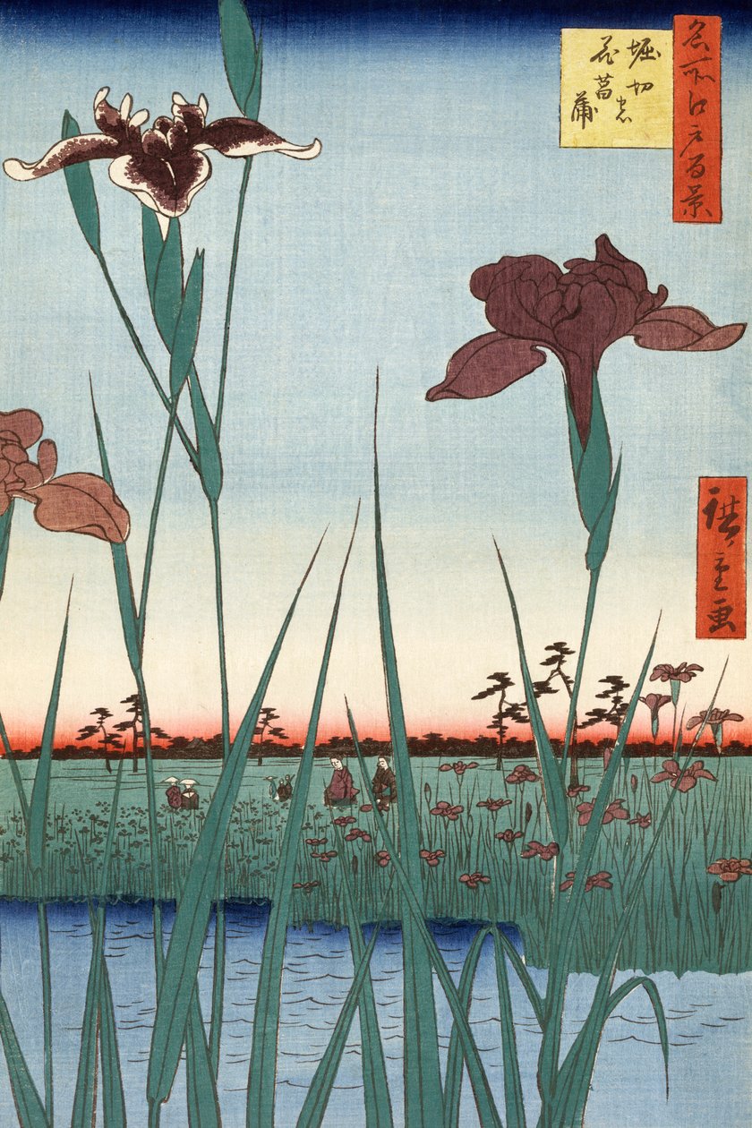 Horikiri Iris Garden por Utagawa Hiroshige de Ando or Utagawa Hiroshige