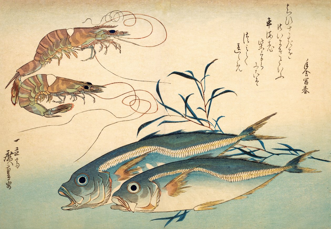 Carapau japonês e camarão tigre japonês (impressão woodblock de cor) de Ando or Utagawa Hiroshige