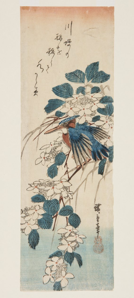 Kingfisher e Viburnum (impressão a cores em bloco de madeira) de Ando or Utagawa Hiroshige