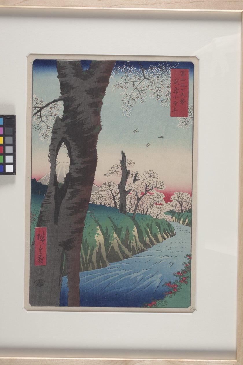 Koganei Na província de Musashi (Musashi Koganei) (impressão em bloco de madeira a cores) de Ando or Utagawa Hiroshige