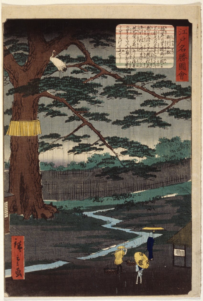 Miyuki Pine (impressão em bloco de madeira a cores) de Ando or Utagawa Hiroshige