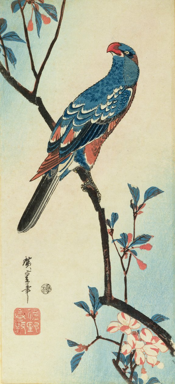 Papagaio em um galho (impressão em xilogravura) de Ando or Utagawa Hiroshige
