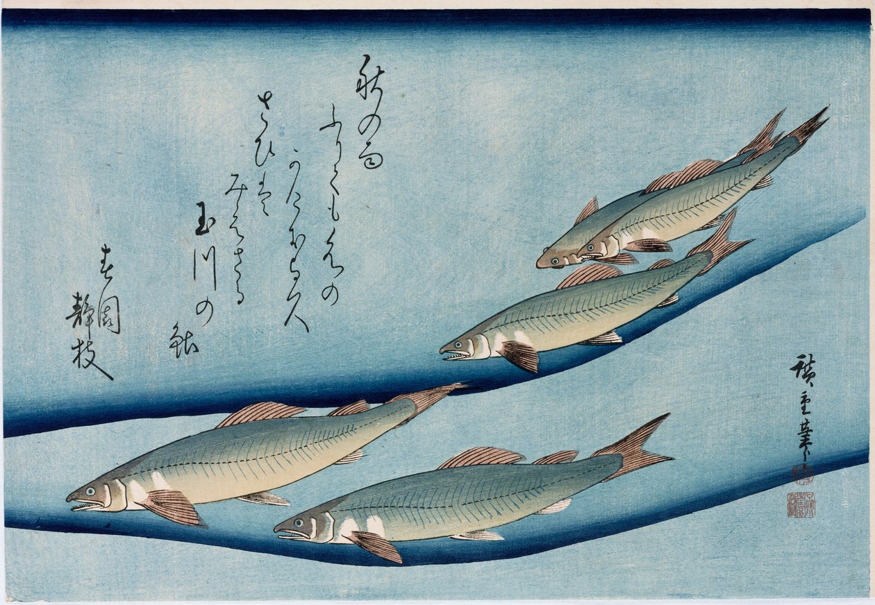 Rivertrout ", da série" Coleção de peixes " de Ando or Utagawa Hiroshige
