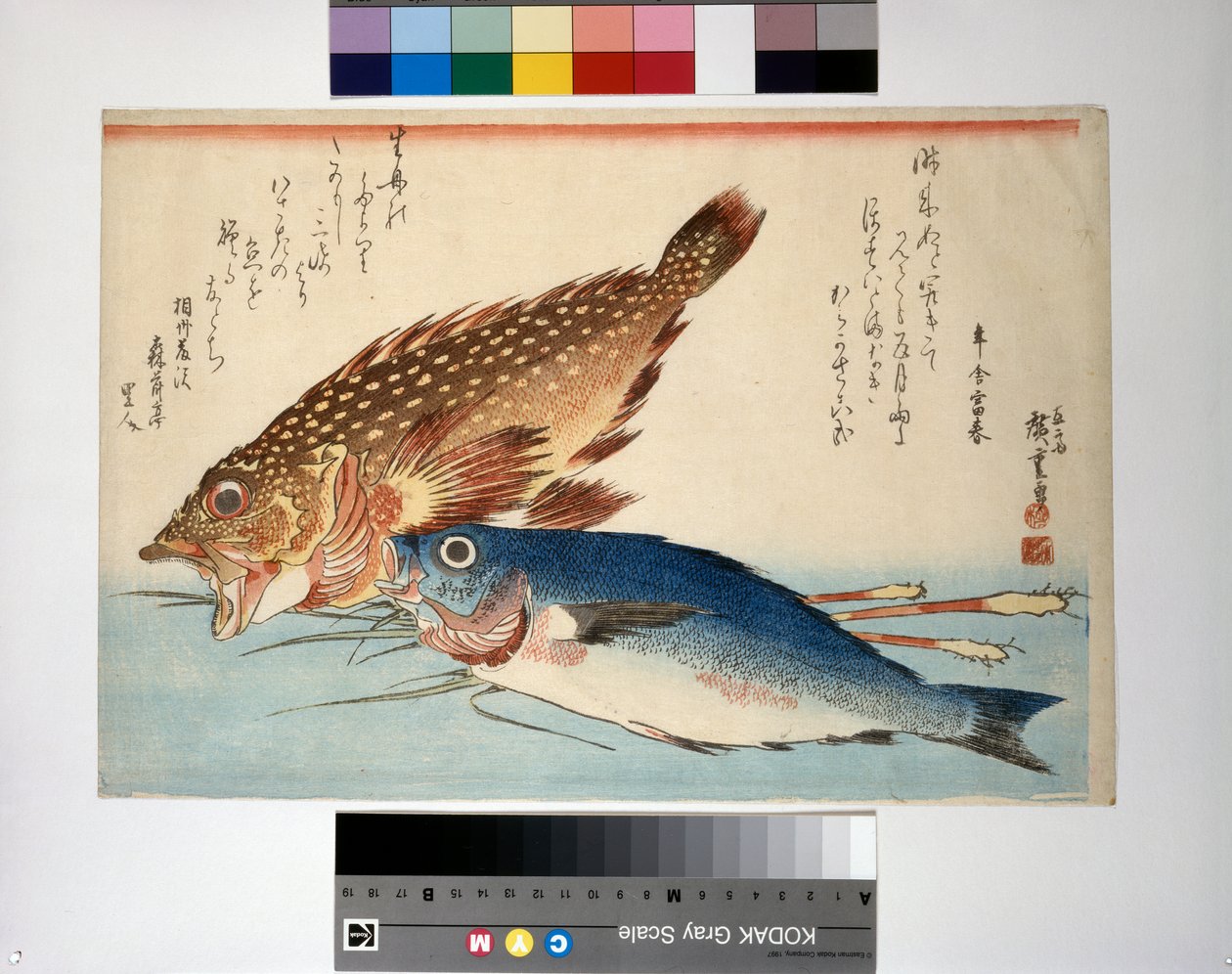 Peixe escorpião e peixe isaki com raiz de gengibre de Ando or Utagawa Hiroshige