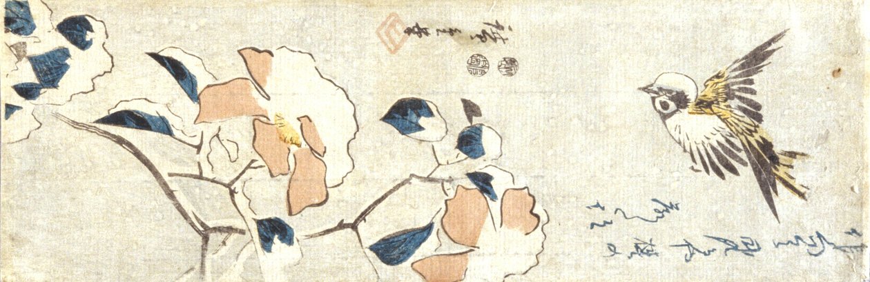 Sparrow And Snow-Laden Camelia (impressão em bloco de madeira a cores) de Ando or Utagawa Hiroshige
