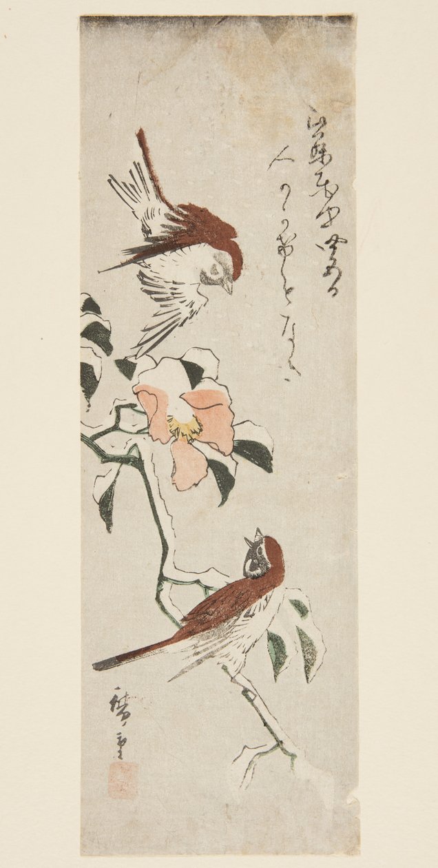 Pardais e Camélia em Snow (impressão em bloco de madeira a cores) de Ando or Utagawa Hiroshige