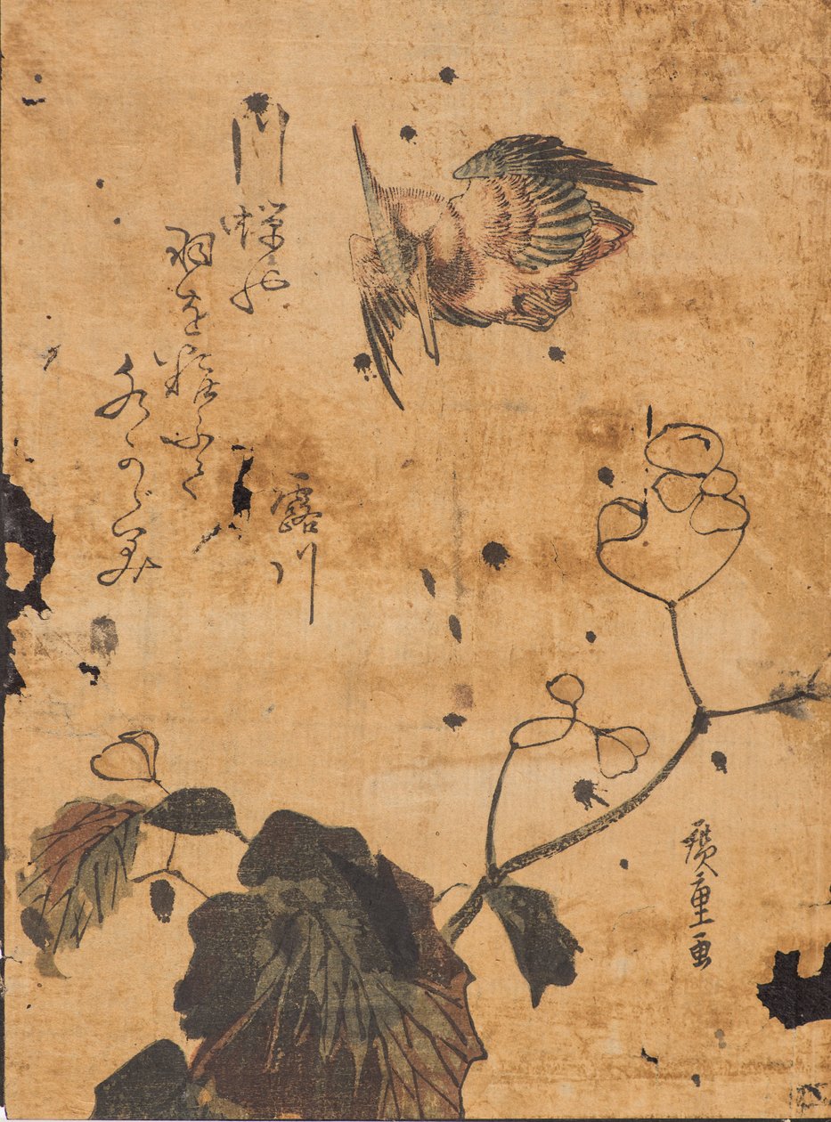 Estudo de pássaros e plantas de Ando or Utagawa Hiroshige