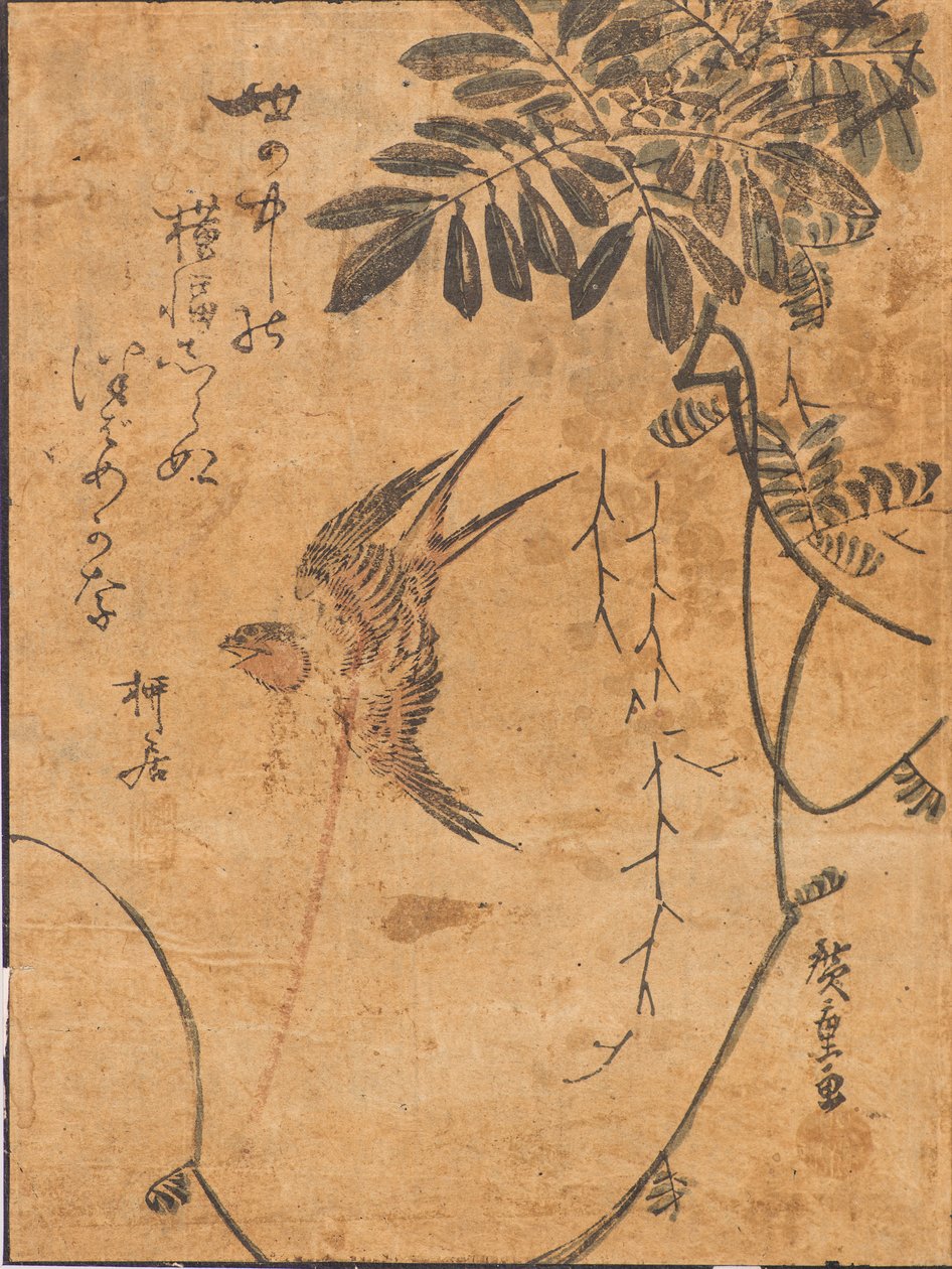 Estudo de ave em voo e planta de Ando or Utagawa Hiroshige